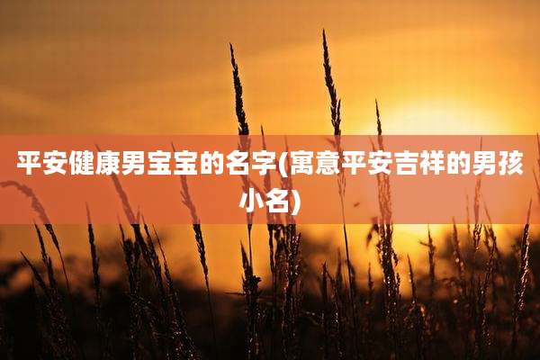 平安健康男宝宝的名字(寓意平安吉祥的男孩小名)