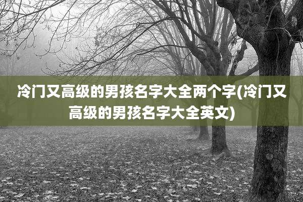 冷门又高级的男孩名字大全两个字(冷门又高级的男孩名字大全英文)