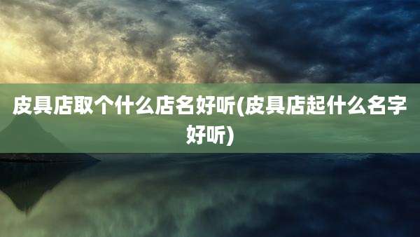 皮具店取个什么店名好听(皮具店起什么名字好听)