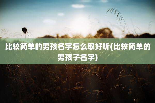 比较简单的男孩名字怎么取好听(比较简单的男孩子名字)