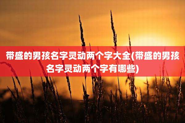 带盛的男孩名字灵动两个字大全(带盛的男孩名字灵动两个字有哪些)