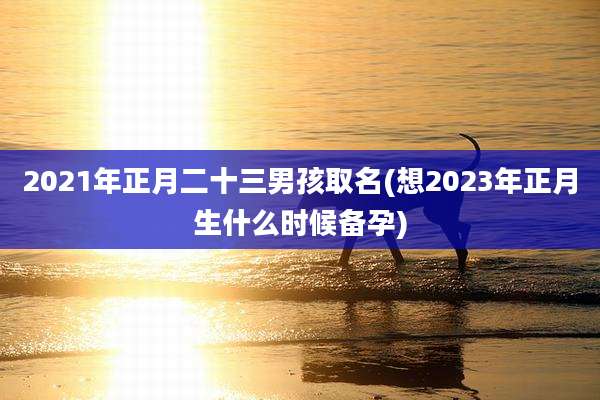 2021年正月二十三男孩取名(想2023年正月生什么时候备孕)
