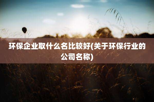 环保企业取什么名比较好(关于环保行业的公司名称)