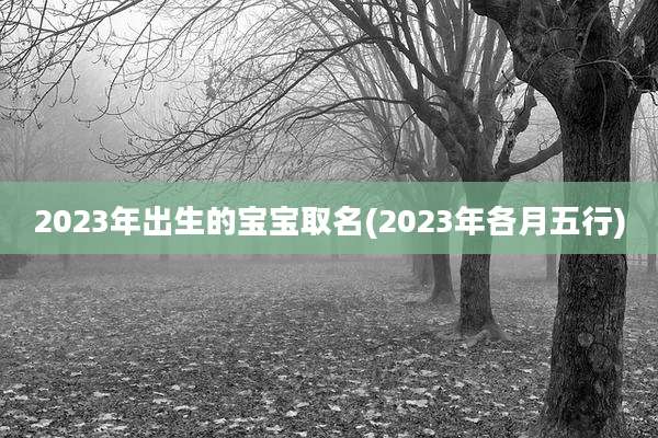 2023年出生的宝宝取名(2023年各月五行)