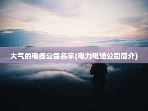 大气的电缆公司名字(电力电缆公司简介)