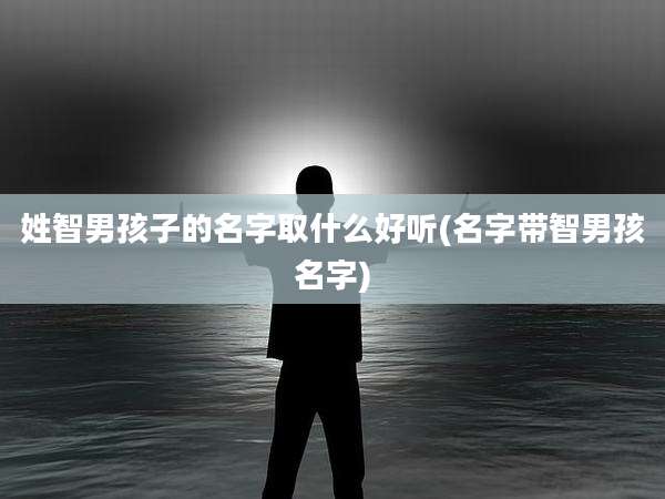 姓智男孩子的名字取什么好听(名字带智男孩名字)
