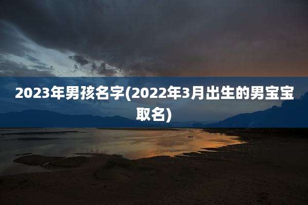 2023年男孩名字(2022年3月出生的男宝宝取名)