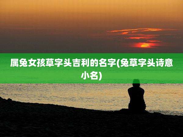 属兔女孩草字头吉利的名字(兔草字头诗意小名)