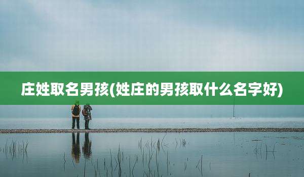 庄姓取名男孩(姓庄的男孩取什么名字好)