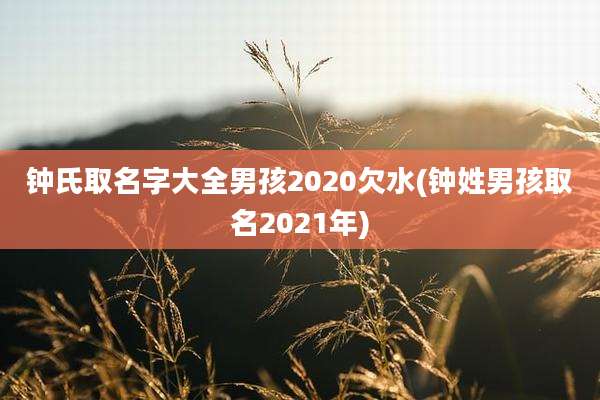 钟氏取名字大全男孩2020欠水(钟姓男孩取名2021年)