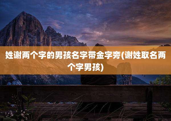 姓谢两个字的男孩名字带金字旁(谢姓取名两个字男孩)