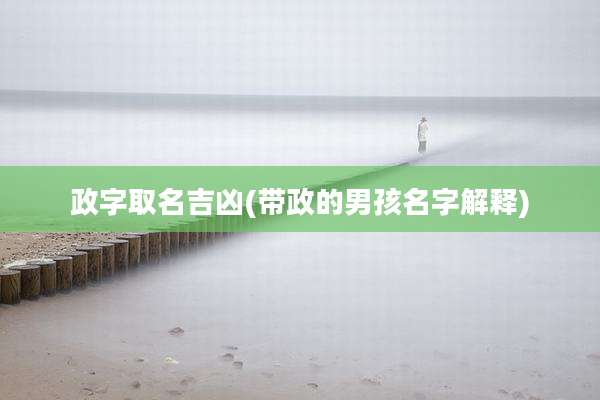 政字取名吉凶(带政的男孩名字解释)