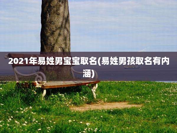 2021年易姓男宝宝取名(易姓男孩取名有内涵)