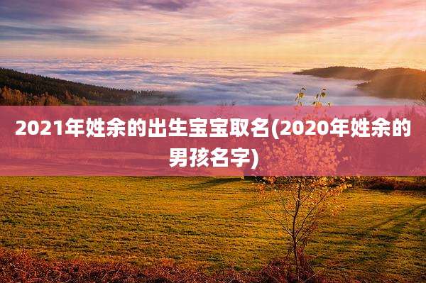 2021年姓余的出生宝宝取名(2020年姓余的男孩名字)