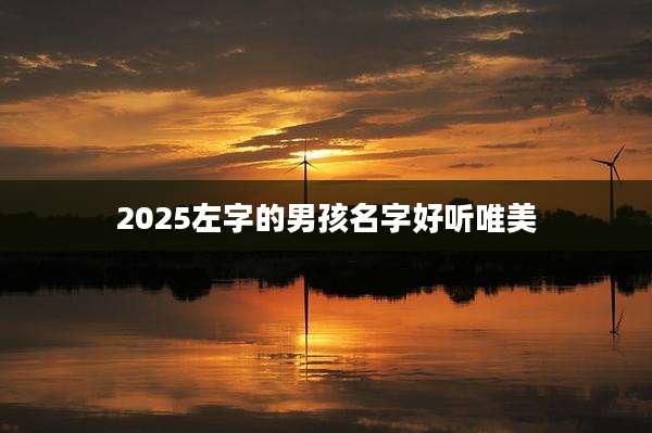 2025左字的男孩名字好听唯美