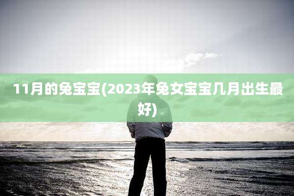11月的兔宝宝(2023年兔女宝宝几月出生最好)