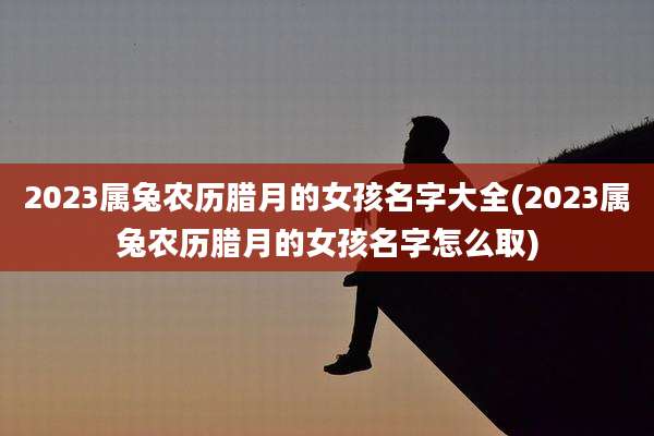 2023属兔农历腊月的女孩名字大全(2023属兔农历腊月的女孩名字怎么取)
