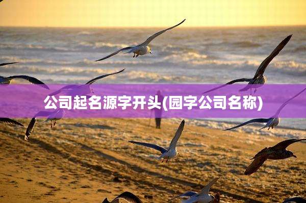 公司起名源字开头(园字公司名称)