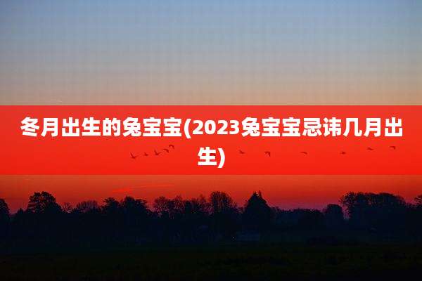 冬月出生的兔宝宝(2023兔宝宝忌讳几月出生)