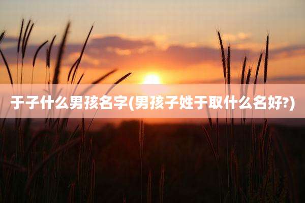 于子什么男孩名字(男孩子姓于取什么名好?)
