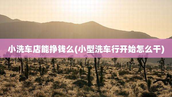 小洗车店能挣钱么(小型洗车行开始怎么干)