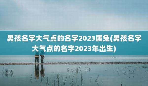 男孩名字大气点的名字2023属兔(男孩名字大气点的名字2023年出生)