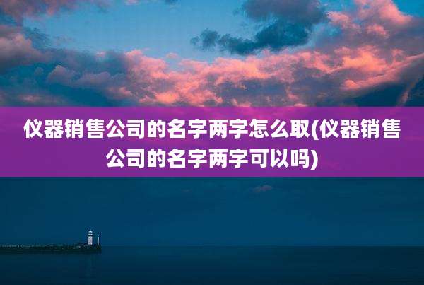 仪器销售公司的名字两字怎么取(仪器销售公司的名字两字可以吗)
