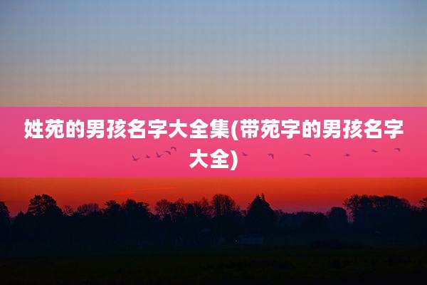 姓苑的男孩名字大全集(带苑字的男孩名字大全)
