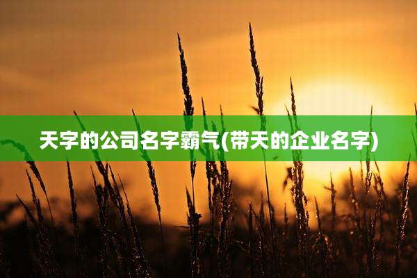 天字的公司名字霸气(带天的企业名字)