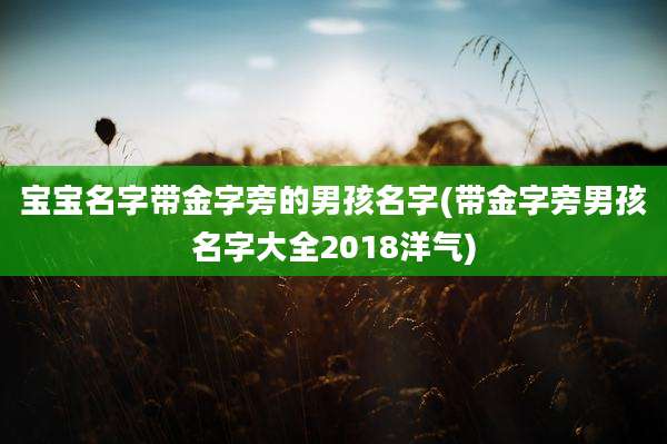 宝宝名字带金字旁的男孩名字(带金字旁男孩名字大全2018洋气)