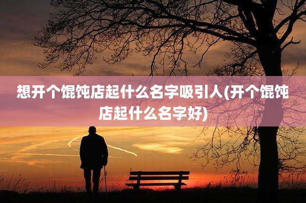 想开个馄饨店起什么名字吸引人(开个馄饨店起什么名字好)