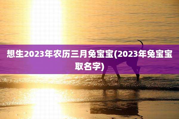想生2023年农历三月兔宝宝(2023年兔宝宝取名字)