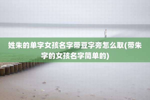 姓朱的单字女孩名字带豆字旁怎么取(带朱字的女孩名字简单的)