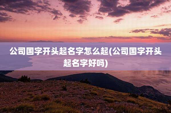 公司国字开头起名字怎么起(公司国字开头起名字好吗)