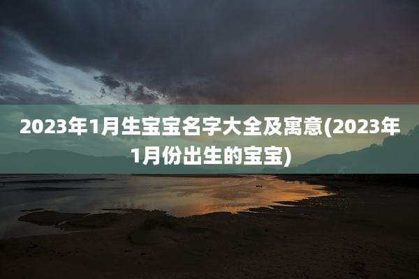 2023年1月生宝宝名字大全及寓意(2023年1月份出生的宝宝)