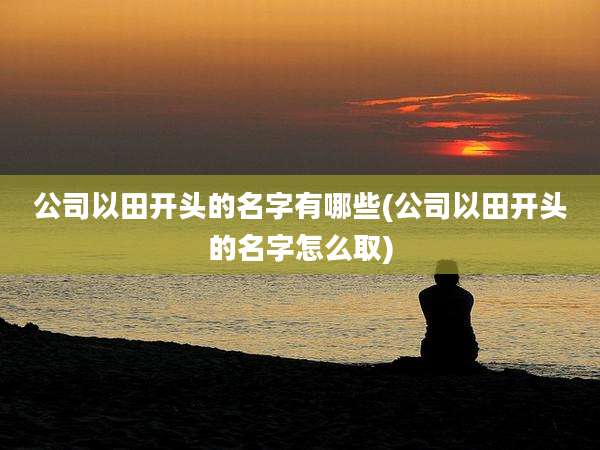 公司以田开头的名字有哪些(公司以田开头的名字怎么取)