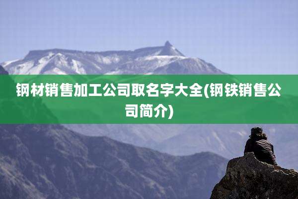 钢材销售加工公司取名字大全(钢铁销售公司简介)