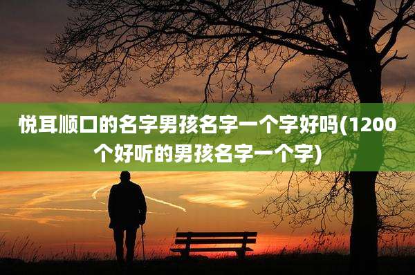 悦耳顺口的名字男孩名字一个字好吗(1200个好听的男孩名字一个字)
