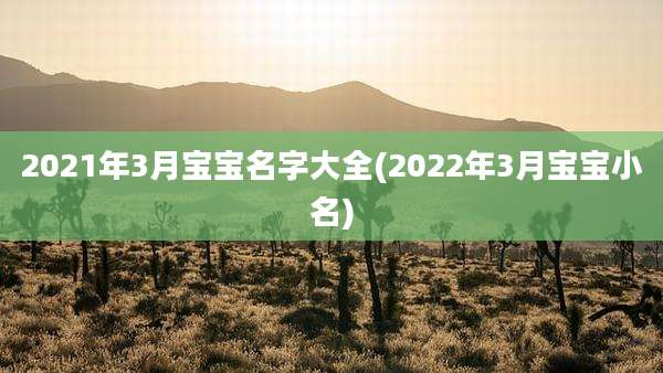 2021年3月宝宝名字大全(2022年3月宝宝小名)