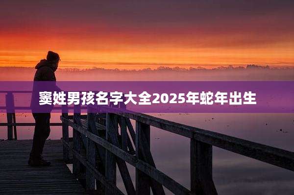 窦姓男孩名字大全2025年蛇年出生