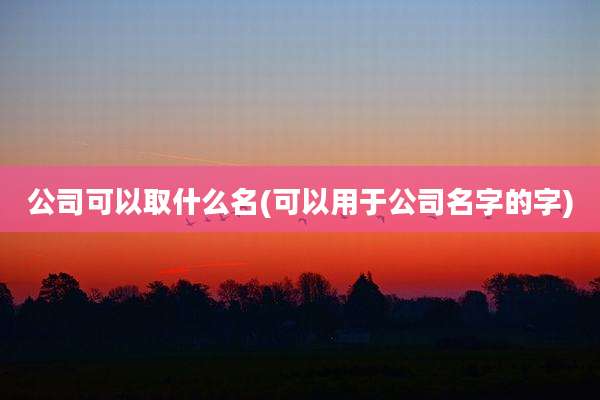 公司可以取什么名(可以用于公司名字的字)