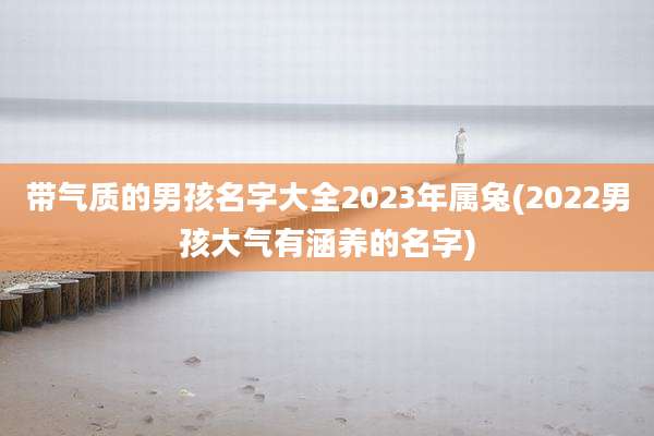 带气质的男孩名字大全2023年属兔(2022男孩大气有涵养的名字)