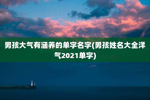 男孩大气有涵养的单字名字(男孩姓名大全洋气2021单字)