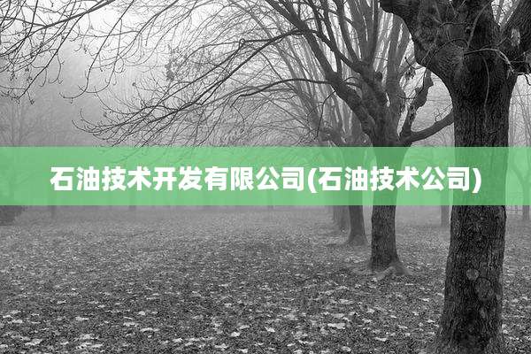 石油技术开发有限公司(石油技术公司)