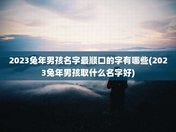 2023兔年男孩名字最顺口的字有哪些(2023兔年男孩取什么名字好)