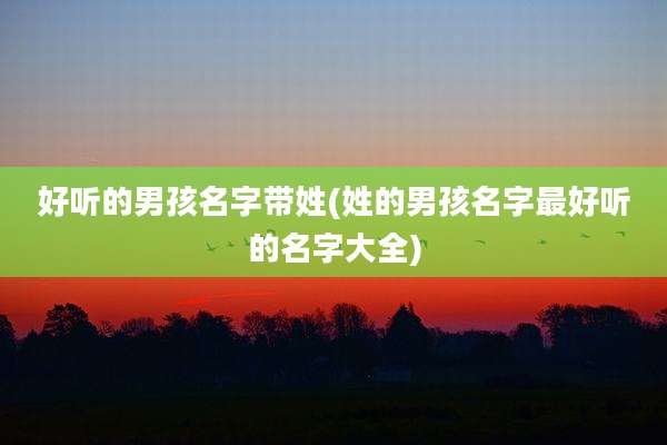 好听的男孩名字带姓(姓的男孩名字最好听的名字大全)