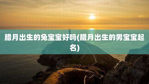 腊月出生的兔宝宝好吗(腊月出生的男宝宝起名)