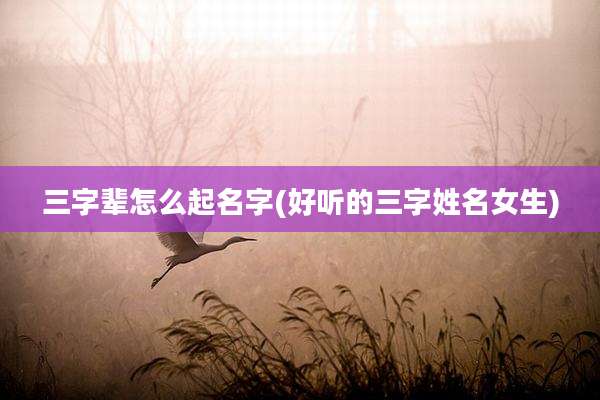 三字辈怎么起名字(好听的三字姓名女生)