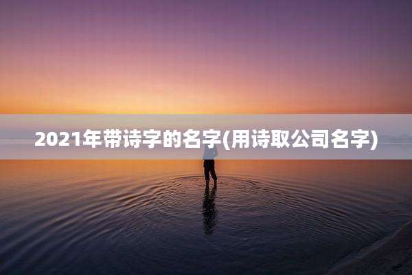 2021年带诗字的名字(用诗取公司名字)