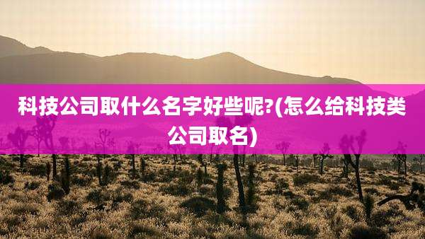 科技公司取什么名字好些呢?(怎么给科技类公司取名)